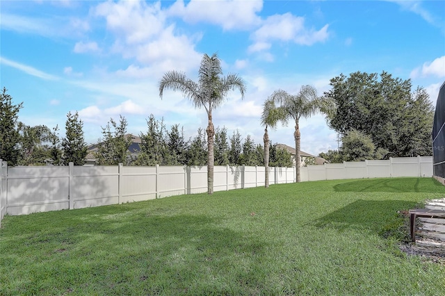569 Yearling Cove Loop, Apopka, FL 32703 - view of yard