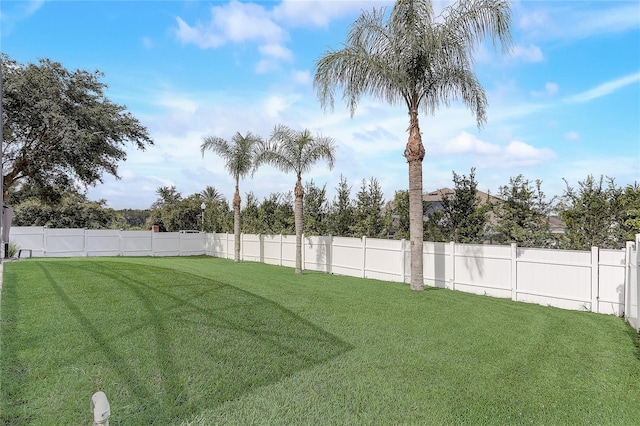 569 Yearling Cove Loop, Apopka, FL 32703 - view of fenced backyard