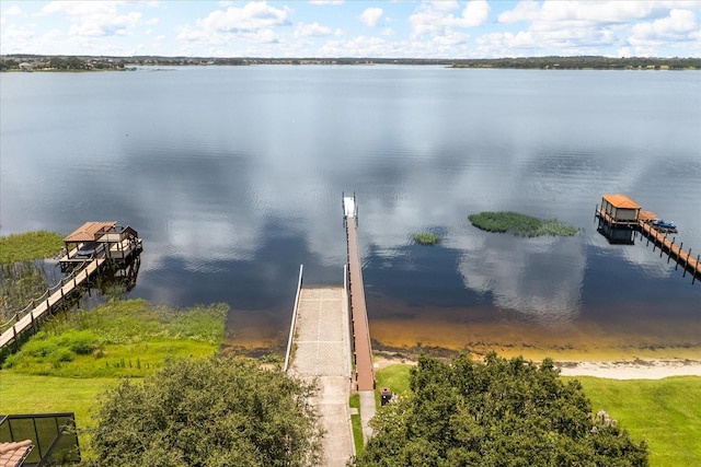 619 Largovista Dr, Oakland, FL 34787 - bird's eye view of a large body of water