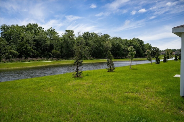 2005 Myrtle Pine St, Kissimmee, FL 34746 - photo 17