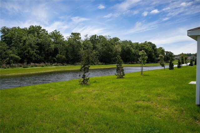 4140 Gooseberry Trl, Kissimmee, FL 34746 - photo 22