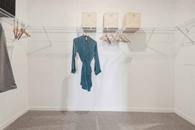 1275 Normandy Dr, Haines City, FL 33844 - spacious closet with carpet flooring