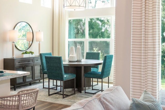 1085 Signet, Apollo Beach, FL 33572 - dining space with wood finished floors and plenty of natural light