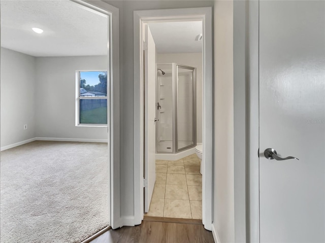 13336 Grand Terrace Dr, Grand Island, FL 32735 - photo 19