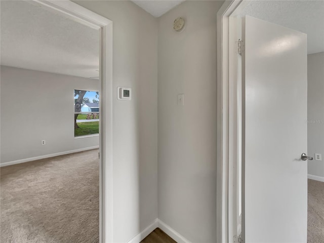 13336 Grand Terrace Dr, Grand Island, FL 32735 - photo 20