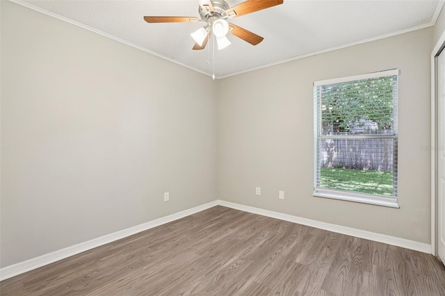 634 Whittingham Pl, Lake Mary, FL 32746 - photo 19