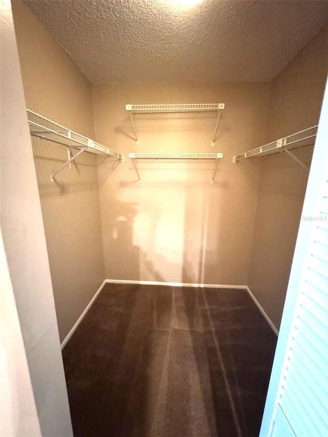 5359 Vineland Rd Unit S, Orlando, FL 32811 - view of walk in closet