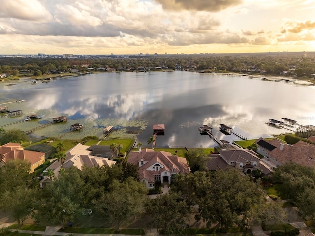 9233 Southern Breeze Dr, Orlando, FL 32836 - photo 5
