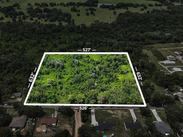 Eagles Nest Rd, Fruitland Park, FL 34731 - photo 1