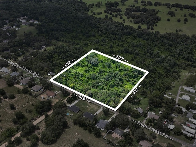 Eagles Nest Rd, Fruitland Park, FL 34731 - photo 4