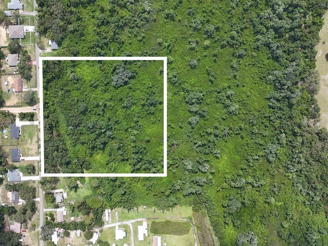 Eagles Nest Rd, Fruitland Park, FL 34731 - photo 6