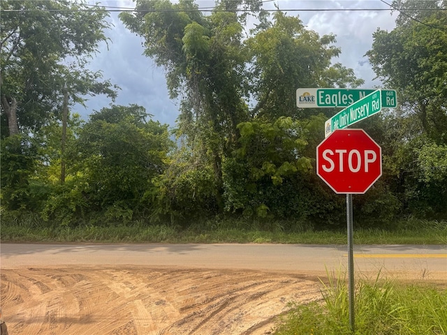 Eagles Nest Rd, Fruitland Park, FL 34731 - photo 8