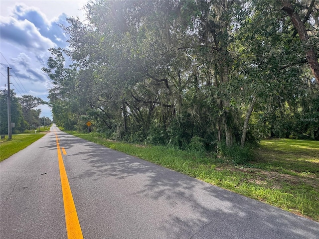 Eagles Nest Rd, Fruitland Park, FL 34731 - photo 10