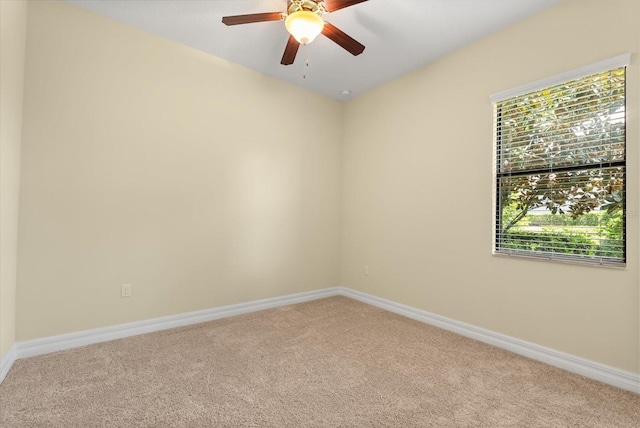25447 High Hampton Cir, Sorrento, FL 32776 - photo 20