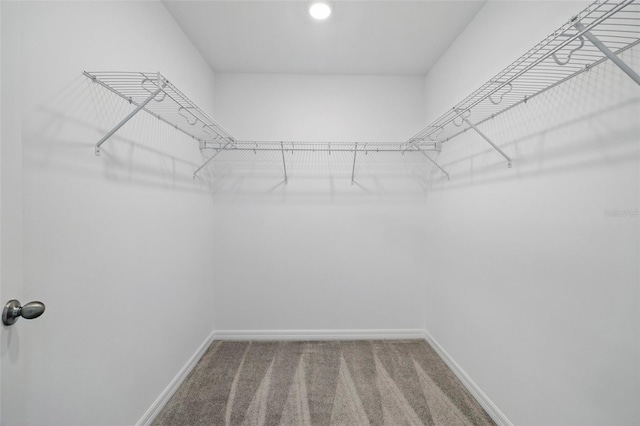 1198 Happy Forest Loop, Deland, FL 32720 - walk in closet featuring carpet floors