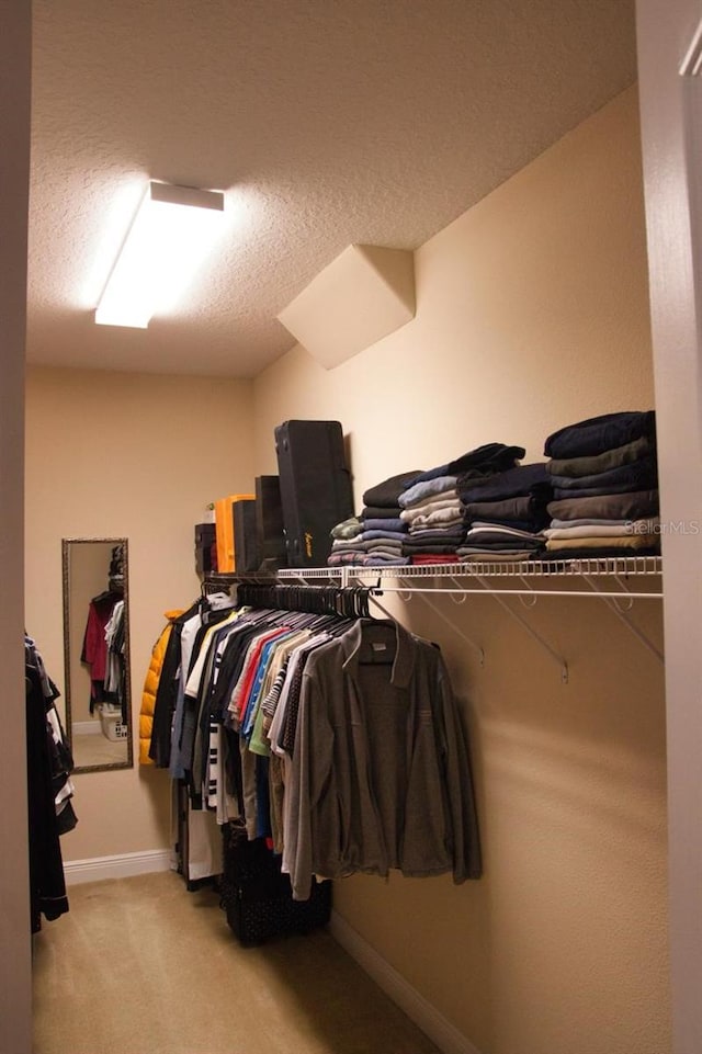 2851 Swoop Cir, Kissimmee, FL 34741 - spacious closet with carpet floors