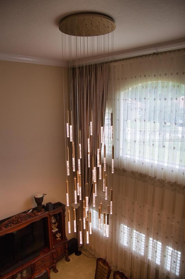 2851 Swoop Cir, Kissimmee, FL 34741 - detailed view of ornamental molding and carpet