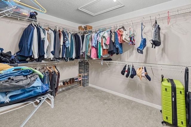 1210 Woods Landing Dr, Minneola, FL 34715 - walk in closet featuring attic access and carpet