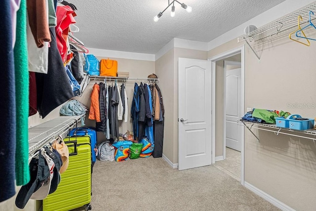 1210 Woods Landing Dr, Minneola, FL 34715 - spacious closet with carpet flooring