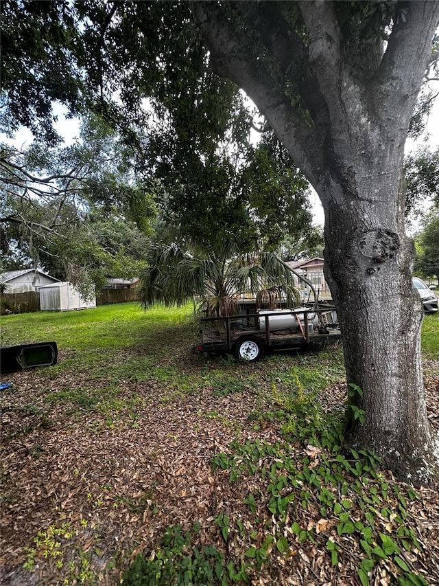 10004 Vaughn St, Gibsonton, FL 33534 - view of yard