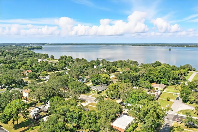 405 S Palm Ave, Howey In The Hills, FL 34737 - photo 39