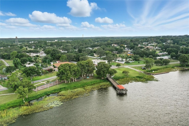 405 S Palm Ave, Howey In The Hills, FL 34737 - photo 42