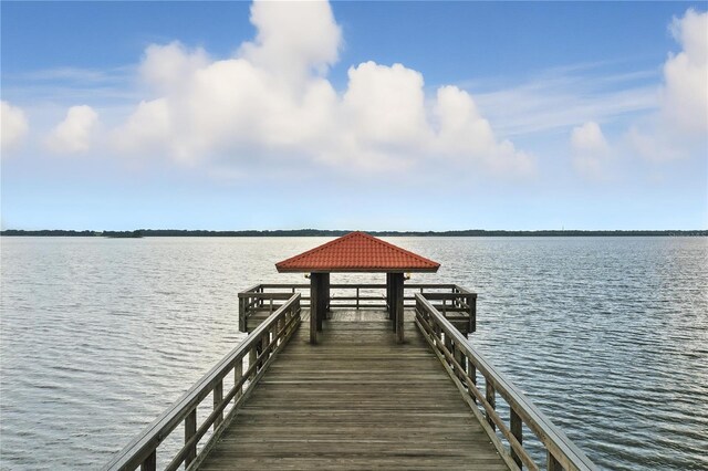 405 S Palm Ave, Howey In The Hills, FL 34737 - photo 47