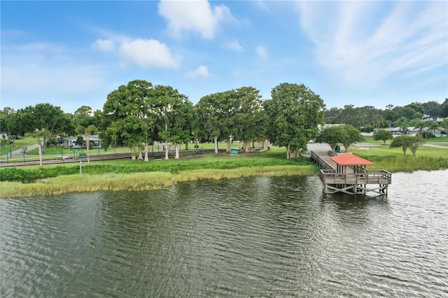 405 S Palm Ave, Howey In The Hills, FL 34737 - photo 49