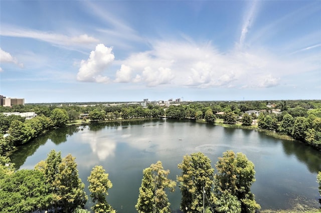 400 E Colonial Dr Unit 806, Orlando, FL 32803 - photo 20