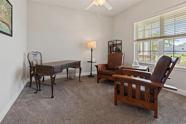 416 Riders Loop, Auburndale, FL 33823 - office space with carpet and ceiling fan