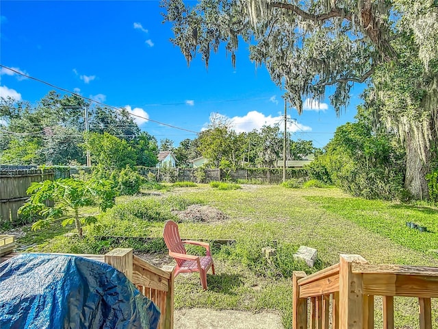 1505 E Elm Rd, Lakeland, FL 33801 - view of yard