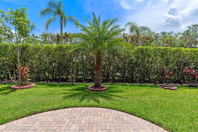 11520 Via Lucerna Cir, Windermere, FL 34786 - photo 50