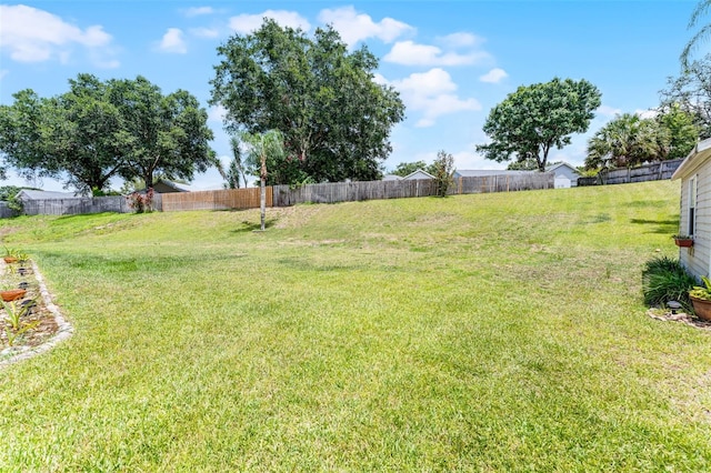 12617 Douglas Fir Ct, Clermont, FL 34711 - view of yard