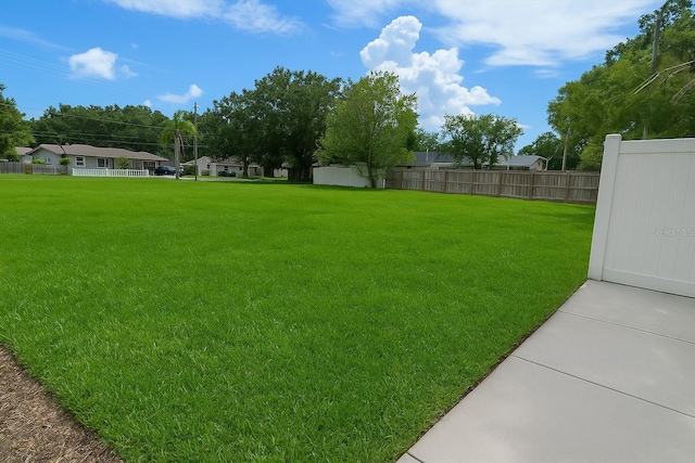 3622 W Tampa Cir, Tampa, FL 33629 - photo 3