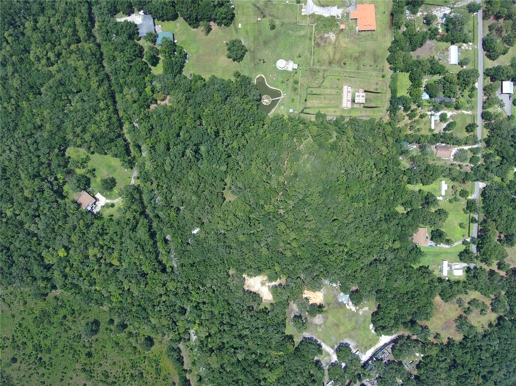 651 S County Road 13, Orlando, FL 32833 - photo 2