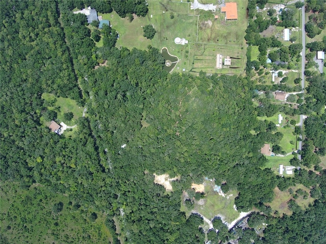 651 S County Road 13, Orlando, FL 32833 - photo 2