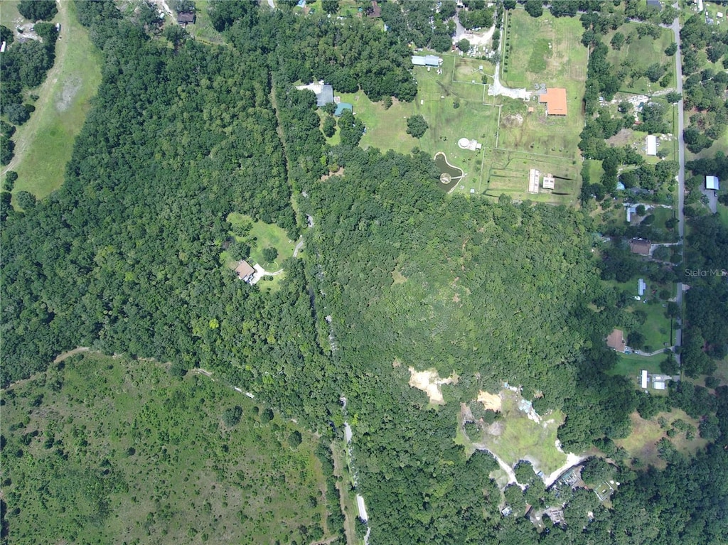 651 S County Road 13, Orlando, FL 32833 - photo 4