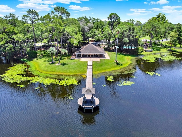 531 Heather Brite Cir, Apopka, FL 32712 - photo 32