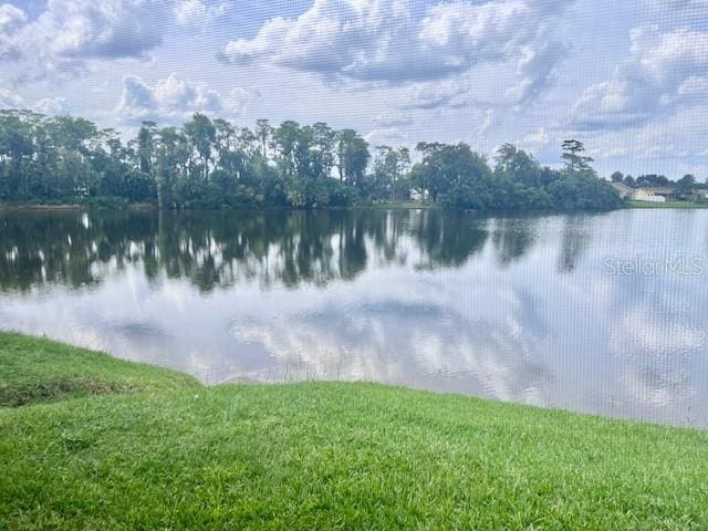 19 W Country Cove Way, Kissimmee, FL 34743 - water view