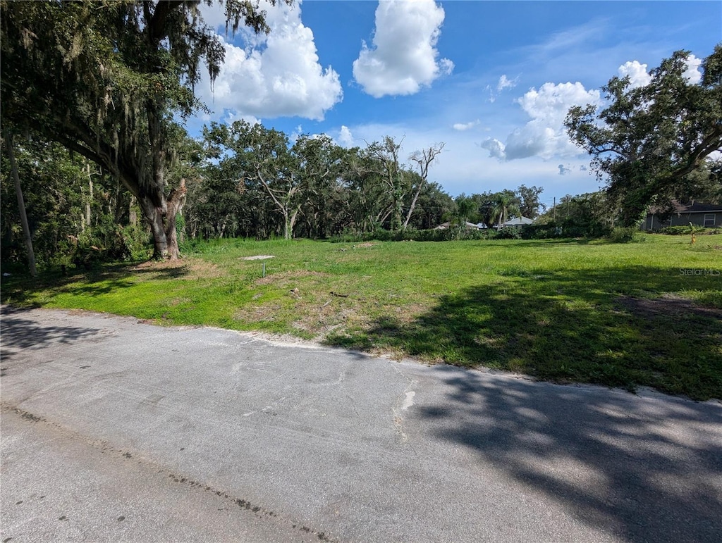 Smith St, Mulberry, FL 33860 - photo 3