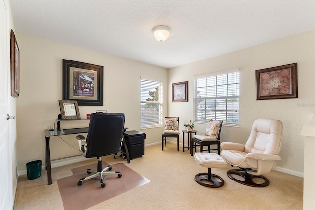 1013 Chatham Break St, Orlando, FL 32828 - photo 22