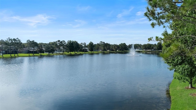 1013 Chatham Break St, Orlando, FL 32828 - photo 37