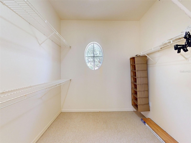 7985 Saint Giles Pl, Orlando, FL 32835 - walk in closet with carpet flooring