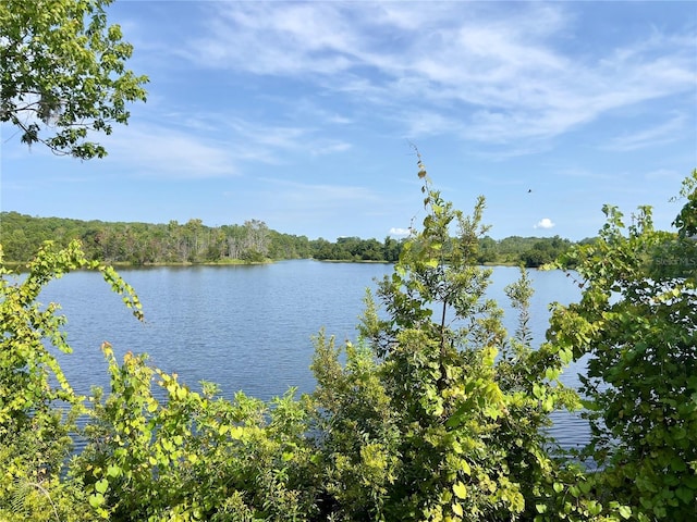 516 Lake Shore Pkwy, Davenport, FL 33896 - photo 16