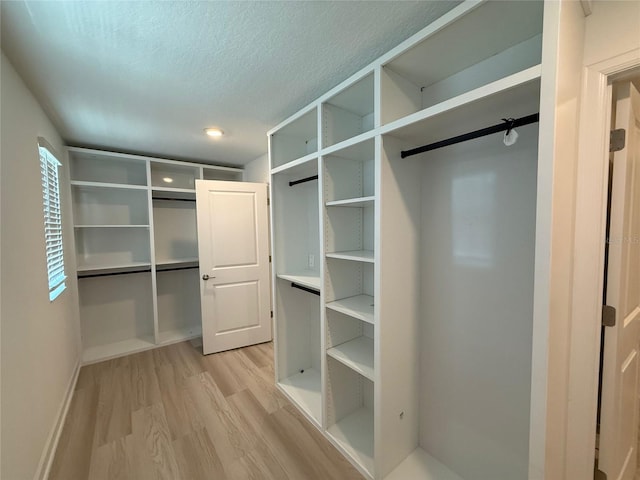 18219 Oliver Twist Way, Winter Garden, FL 34787 - spacious closet with light wood finished floors