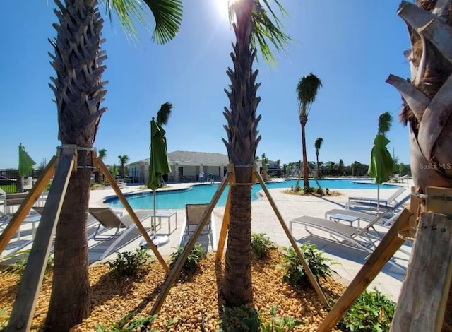 18219 Oliver Twist Way, Winter Garden, FL 34787 - community pool featuring a patio