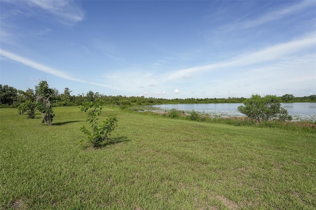 207 Macaulays Cv, Haines City, FL 33844 - water view