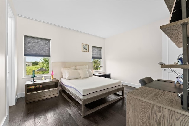 15606 Giant Foxtail Ct, Winter Garden, FL 34787 - photo 67