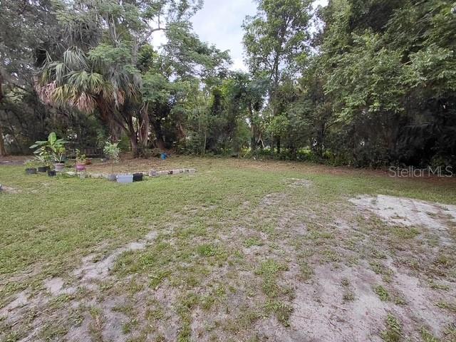 2105 Hollywood Ave, Eustis, FL 32726 - photo 11