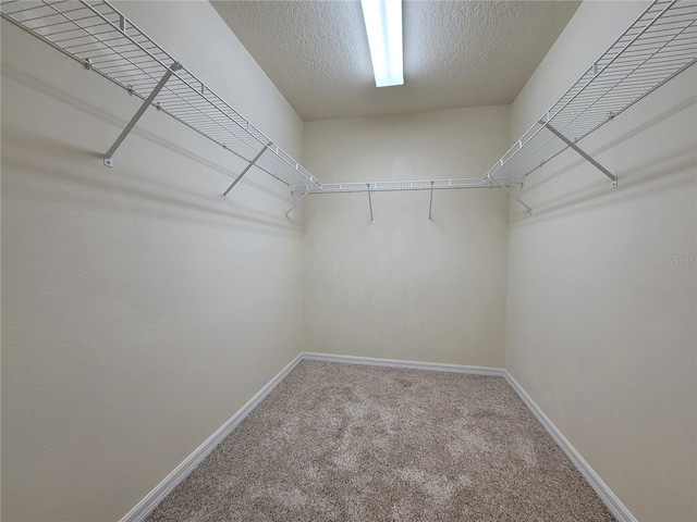 1914 Commander Way, Kissimmee, FL 34746 - walk in closet with carpet